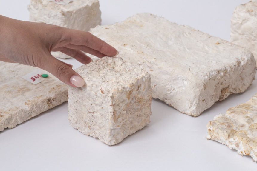 biosporin-stiropor-soma-nikola-stanojevic-01 Biosporin – srpsko inovativno rešenje za borbu protiv mikroplastike