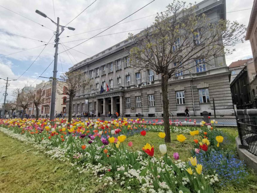 IMG-20220225-WA0015 Fakultativni kurs srpskog znakovnog jezika za studente