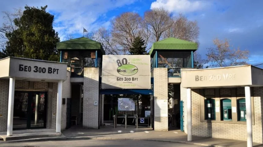kapija-e1588759483623 Od Kalemegdana do Ade Safari: Zoo vrt na novoj lokaciji