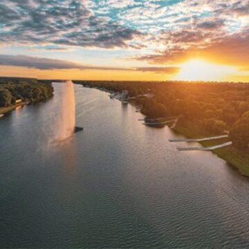 Ekološki dug u Srbiji: Beograd godišnje izgubi 3% zelenih površina