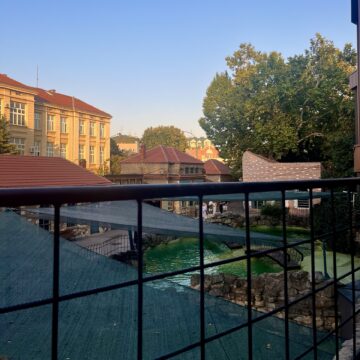 Beo zoo vrt dobija nove životinje: Evo i koje Beo zoo vrt dobija nove životinje: Evo i koje