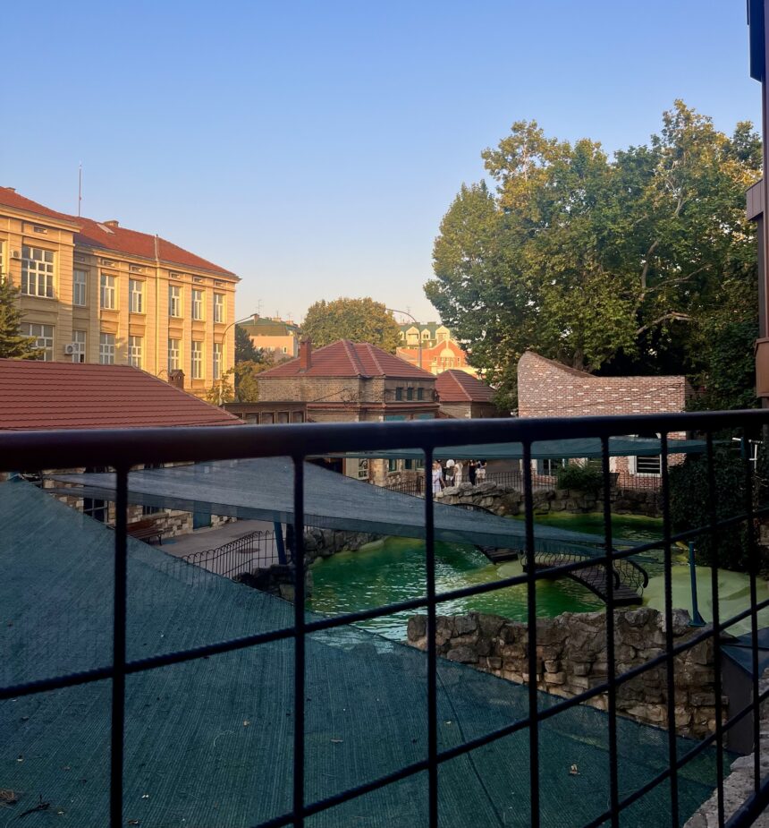 img_5974.jpg Beo zoo vrt dobija nove životinje: Evo i koje