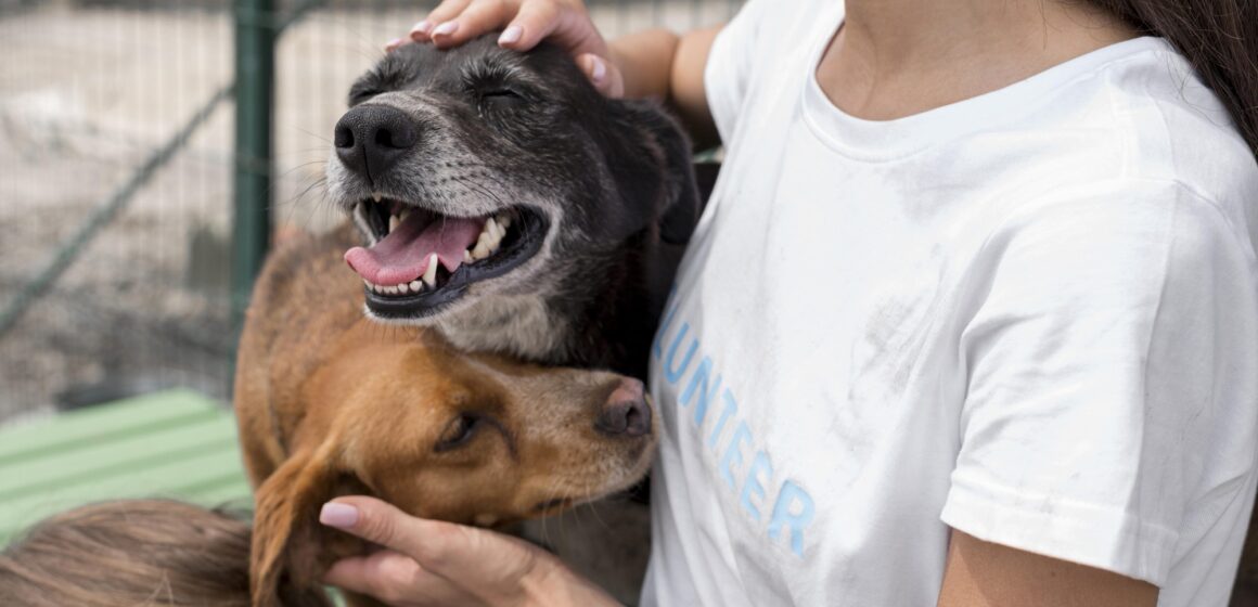 Konkurs za Pravnu kliniku: Studenti u borbi za zaštitu životinja Konkurs za Pravnu kliniku: Studenti u borbi za zaštitu životinja