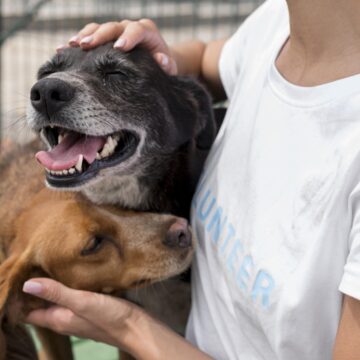 Konkurs za Pravnu kliniku: Studenti u borbi za zaštitu životinja Konkurs za Pravnu kliniku: Studenti u borbi za zaštitu životinja