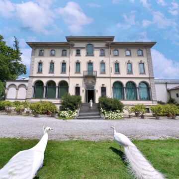 img_5457.jpg Krađa slika u Italiji: Da li su muzeji u povećanoj opasnosti?